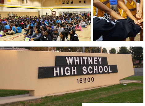 Whitney High School PTSA